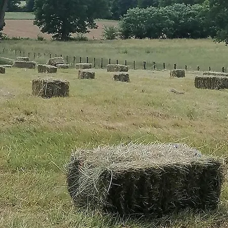 L'oree Des Bois Lierre * Negrepelisse
